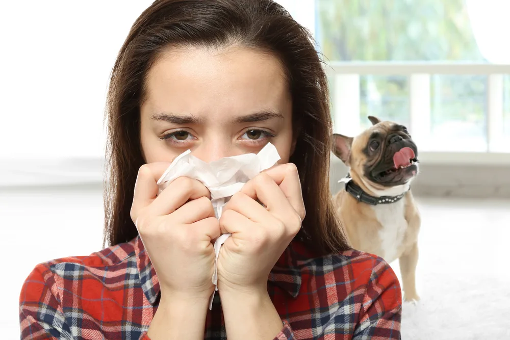 Allergy Shots for Dog Allergies: Effective Relief You Need Now