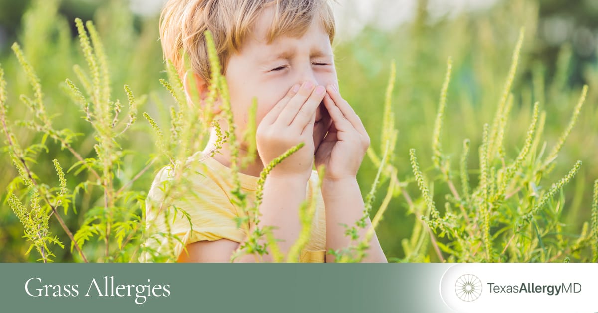 North Texas grass allergy treatment.
