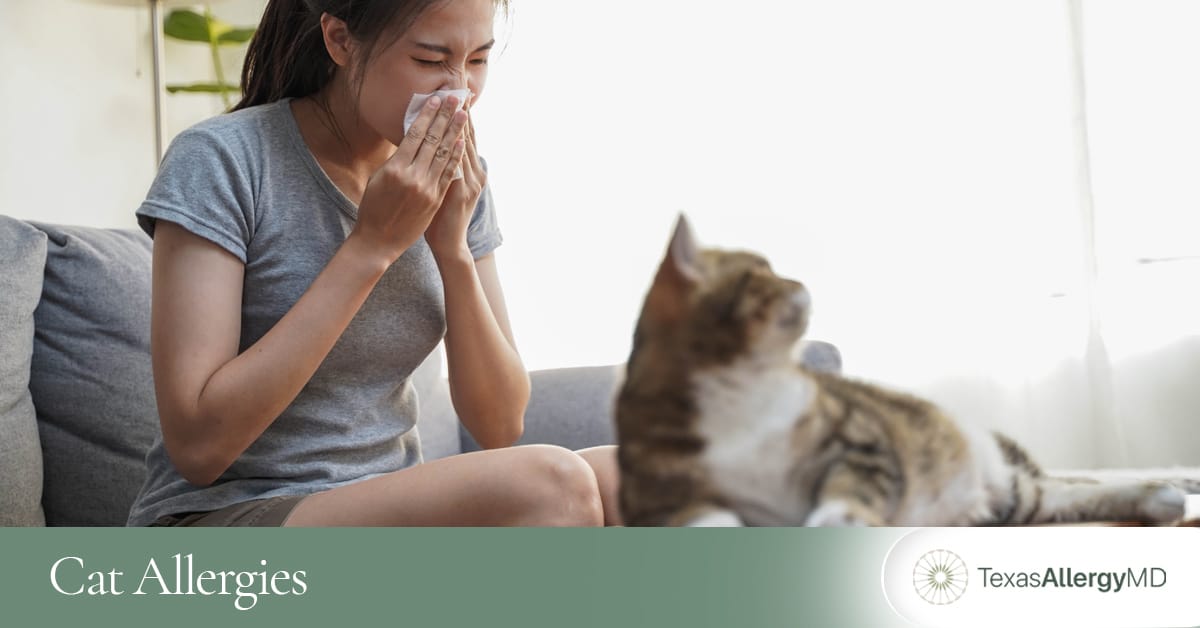 North Texas cat allergies.