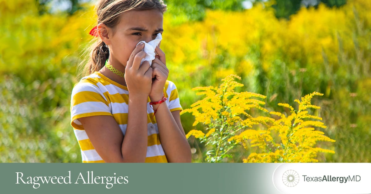 North Texas ragweed allergy care.