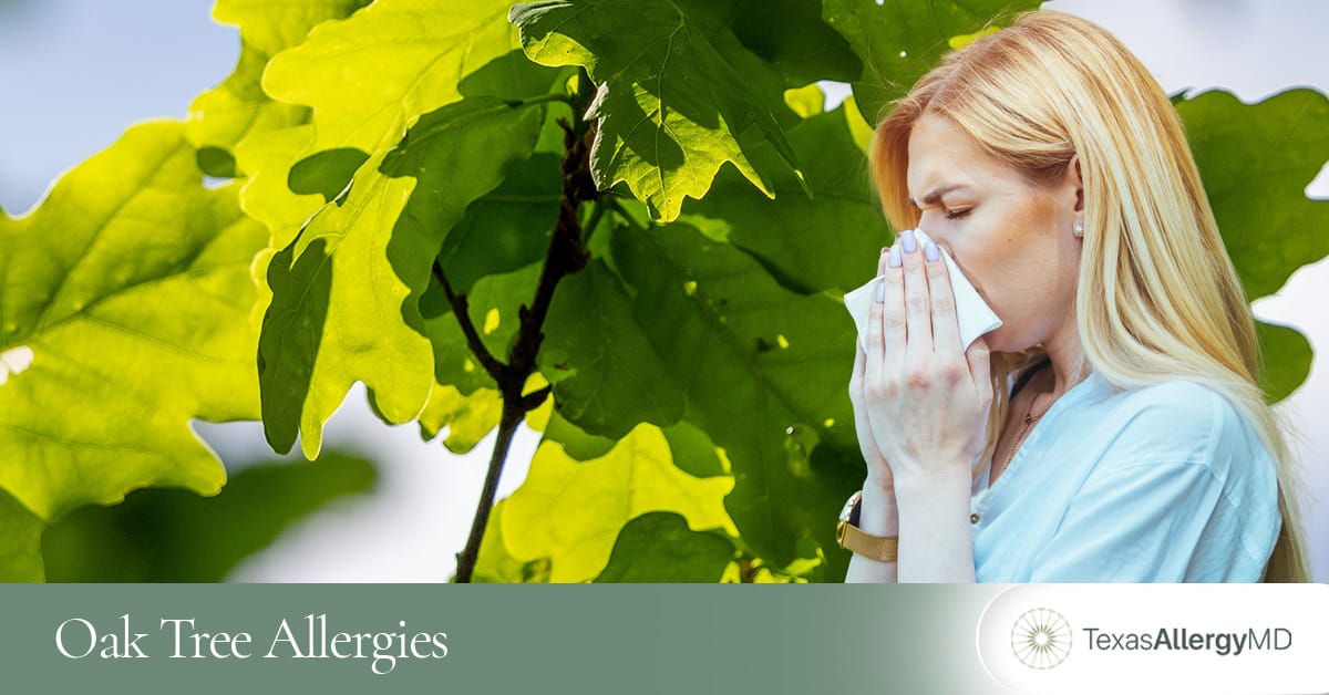 North Texas oak tree allergy treatment.