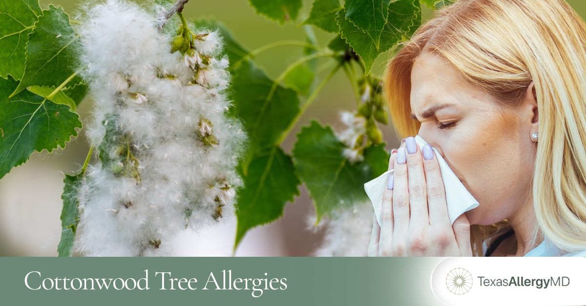 North Texas cottonwood tree allergies.