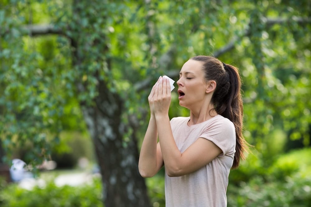 Effective seasonal allergy treatments.